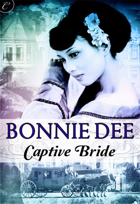 Cover image for book Captive Bride