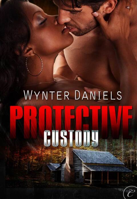 Cover image for book Protective Custody