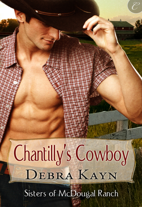 Cover image for book Chantilly's Cowboy