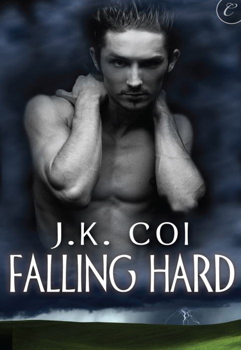 Cover image for book Falling Hard