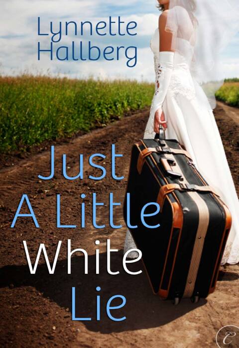 Cover image for book Just a Little White Lie