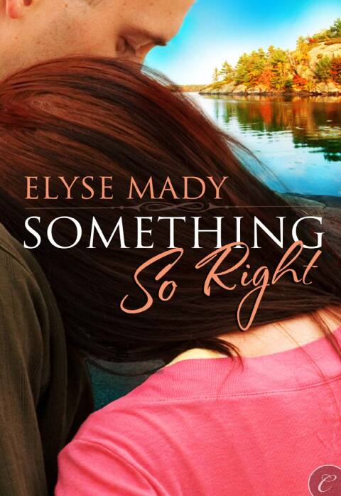 Cover image for book Something So Right