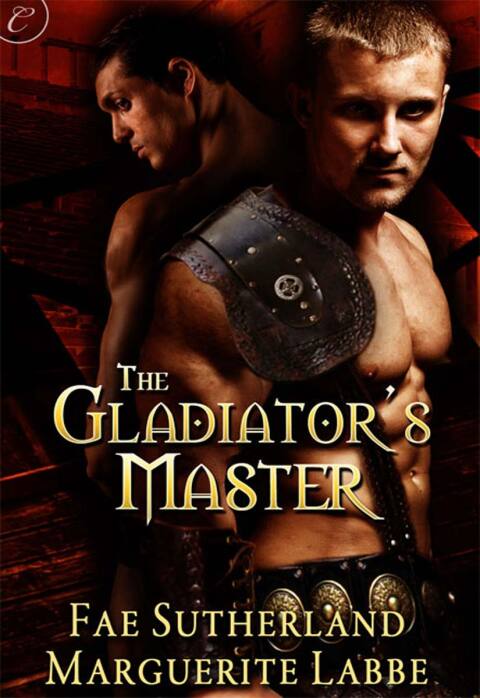 Cover image for book The Gladiator's Master