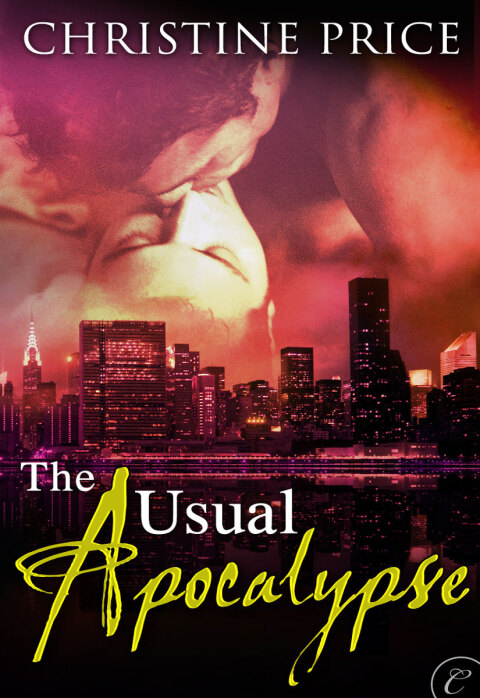 Cover image for book The Usual Apocalypse