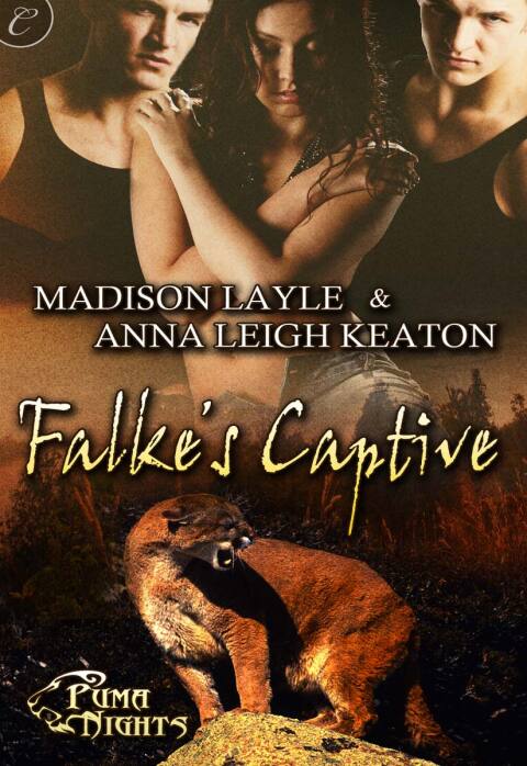 Cover image for book Falke's Captive