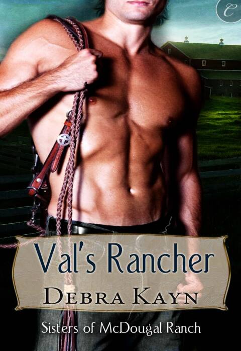 Cover image for book Val's Rancher