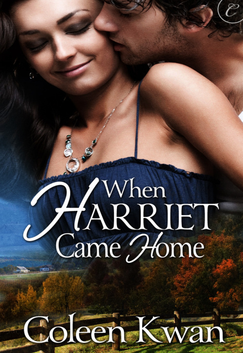 Cover image for book When Harriet Came Home