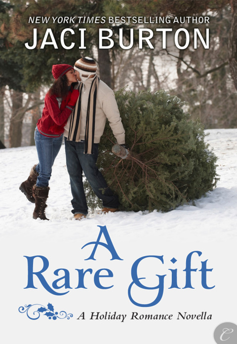 Cover image for book A Rare Gift