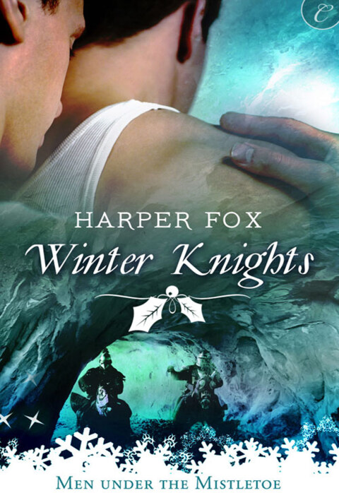 Cover image for book Winter Knights