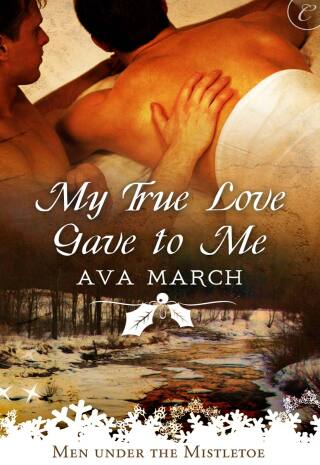 My True Love Gave to Me
