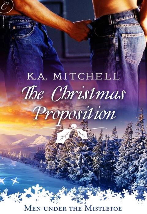 Cover image for book The Christmas Proposition