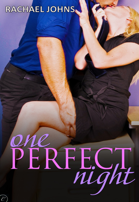 Cover image for book One Perfect Night
