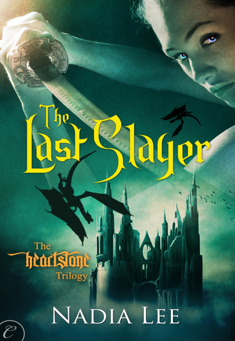 Cover image for book The Last Slayer