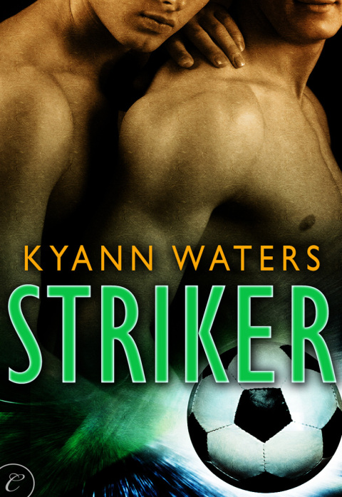 Cover image for book Striker