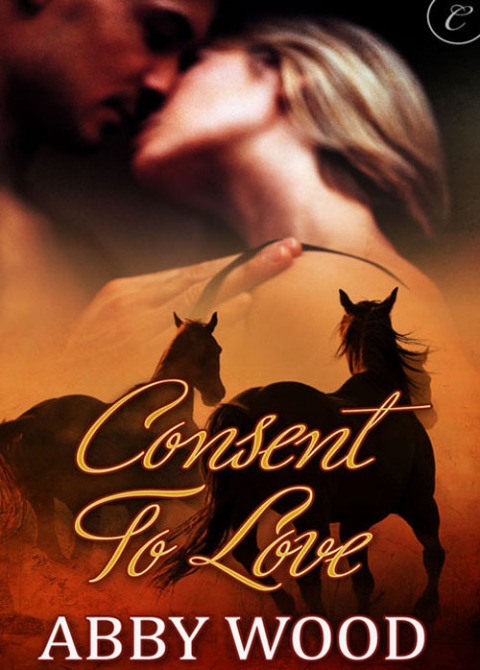 Cover image for book Consent to Love
