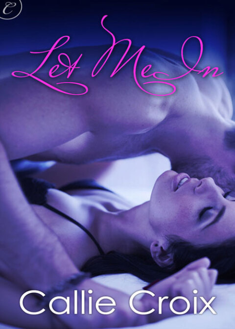 Cover image for book Let Me In