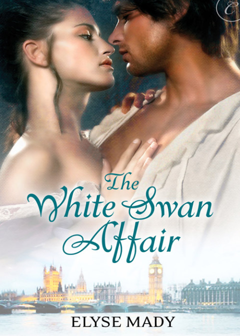 Cover image for book The White Swan Affair