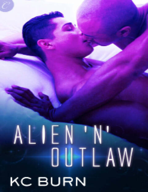 Cover image for book Alien 'n' Outlaw