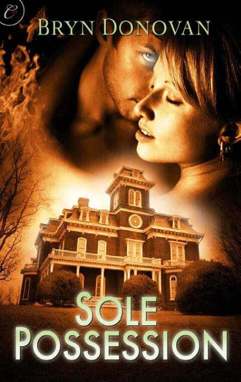 Cover image for book Sole Possession
