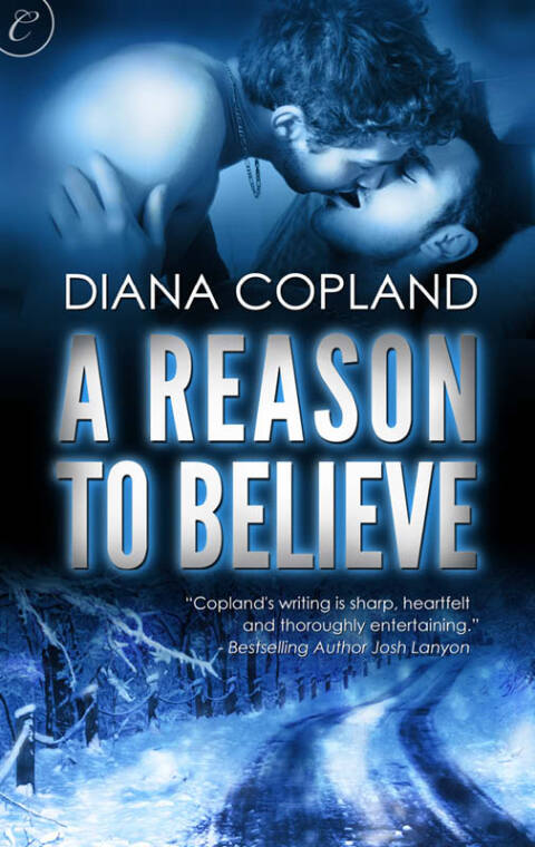 Cover image for book A Reason to Believe