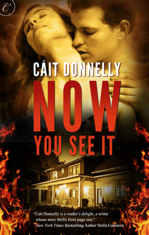 Cover image for book Now You See It