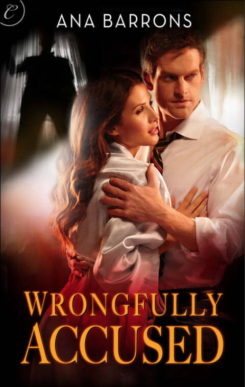 Cover image for book Wrongfully Accused