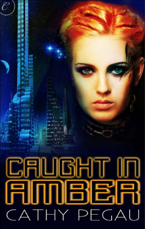 Cover image for book Caught in Amber