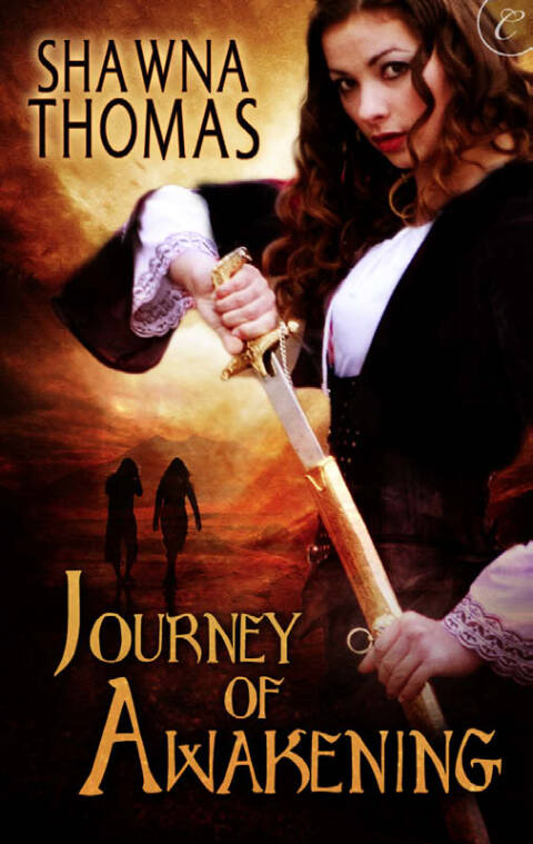 Cover image for book Journey of Awakening