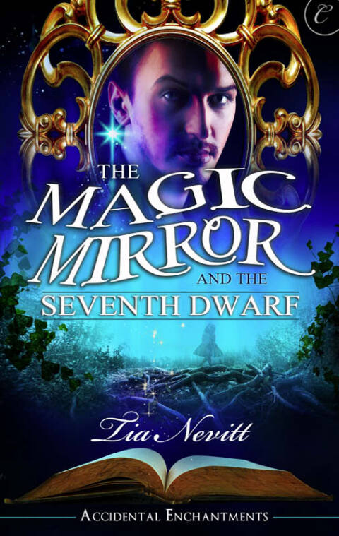 Cover image for book The Magic Mirror and the Seventh Dwarf
