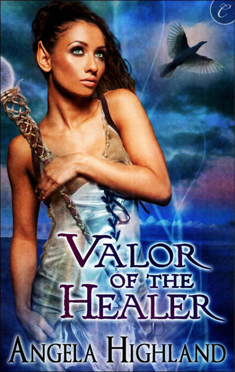 Cover image for book Valor of the Healer