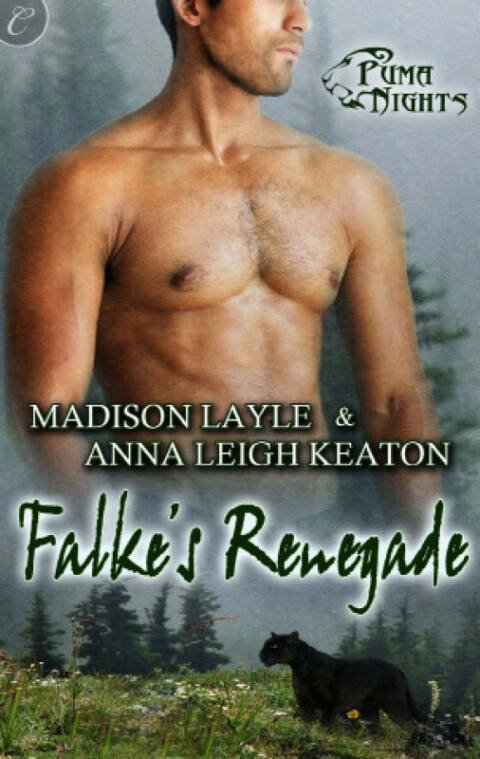 Cover image for book Falke's Renegade