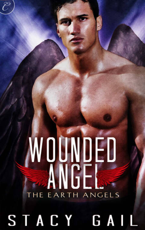Cover image for book Wounded Angel