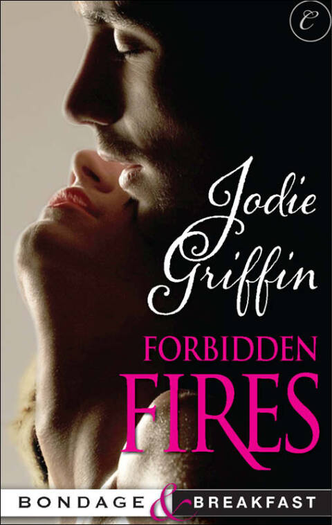 Cover image for book Forbidden Fires