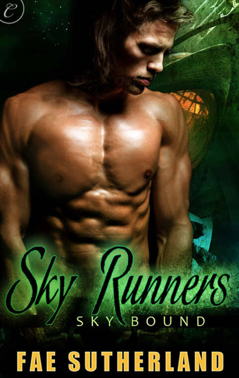 Cover image for book Sky Runners