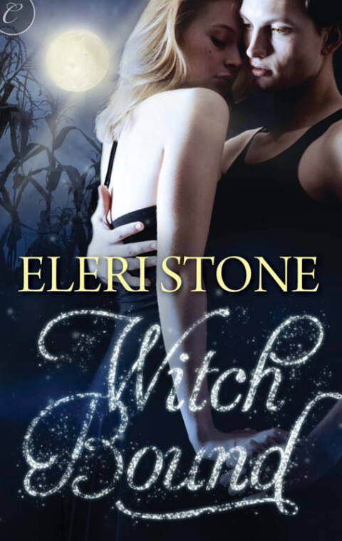 Cover image for book Witch Bound