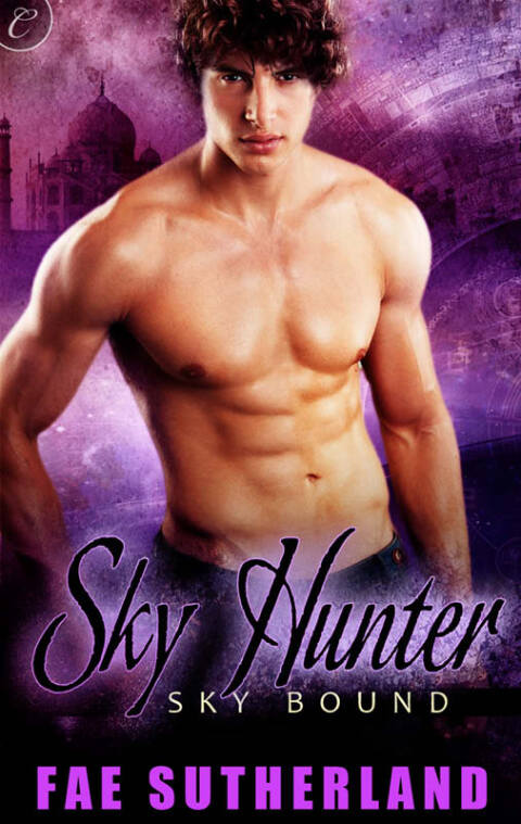 Cover image for book Sky Hunter