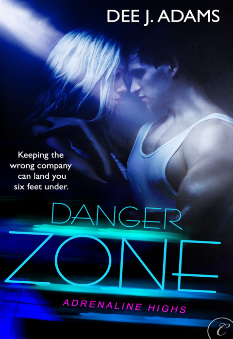 Cover image for book Danger Zone
