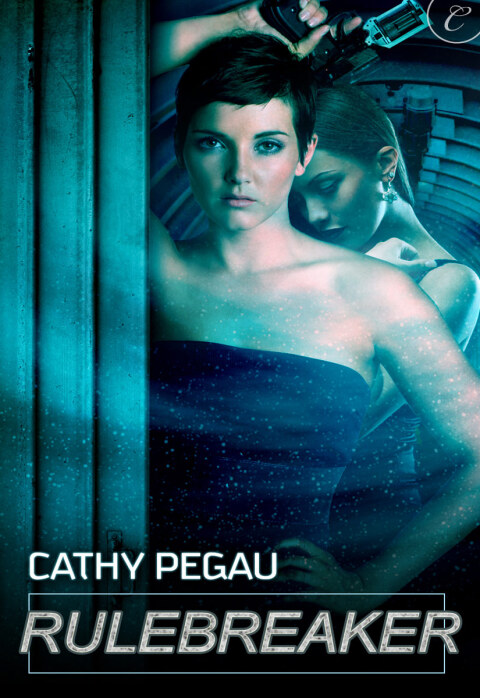 Cover image for book Rulebreaker