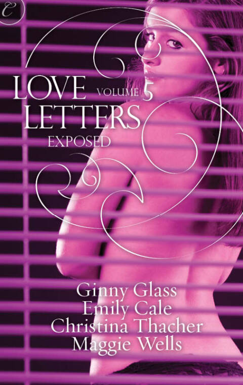 Cover image for book Love Letters Volume 5: Exposed