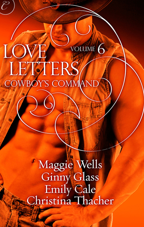 Cover image for book Love Letters Volume 6: Cowboy's Command