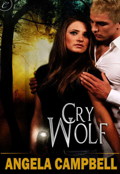 Cover image for book Cry Wolf