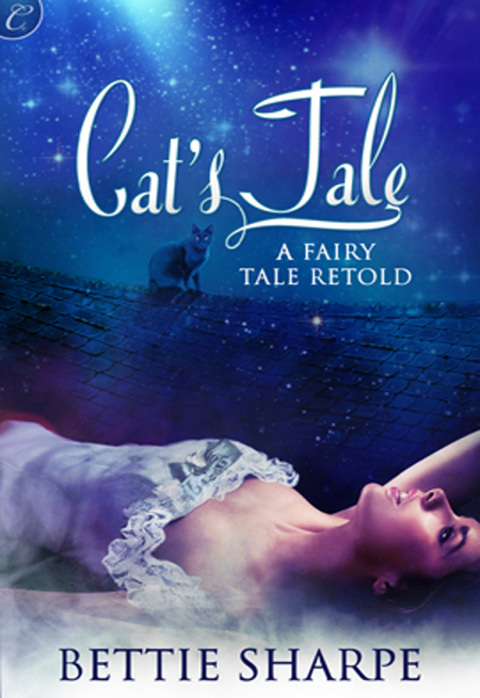 Cover image for book Cat's Tale: A Fairy Tale Retold