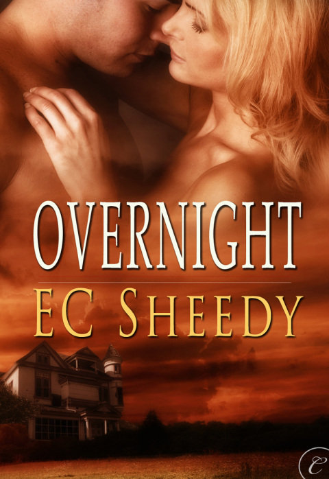 Cover image for book Overnight