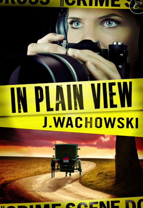Cover image for book In Plain View