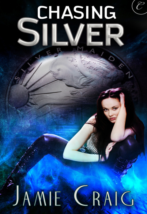 Cover image for book Chasing Silver