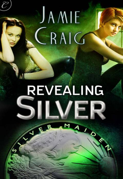 Cover image for book Revealing Silver