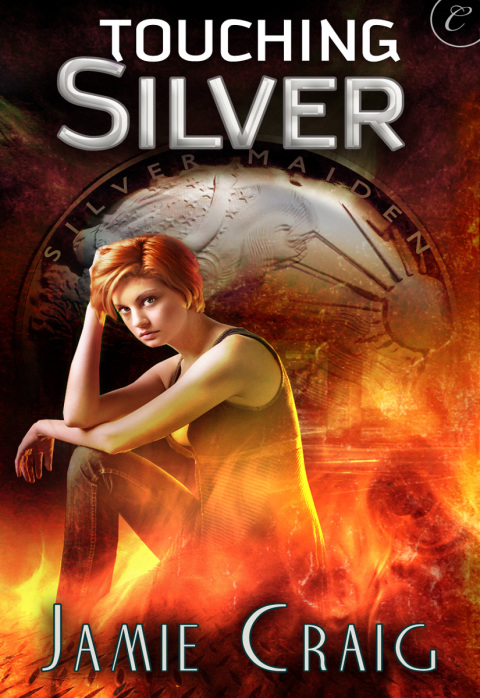 Cover image for book Touching Silver