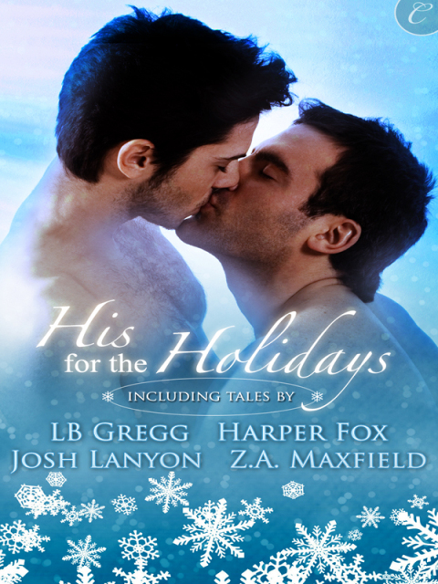 Cover image for book His for the Holidays