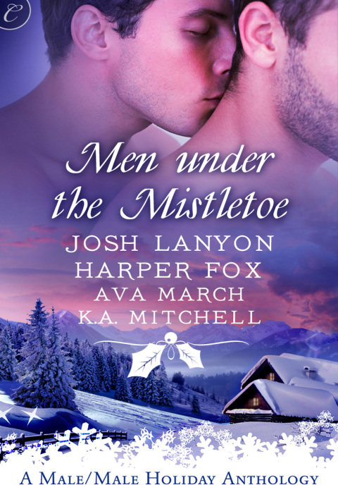 Cover image for book Men Under the Mistletoe