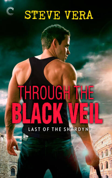 Cover image for book Through the Black Veil